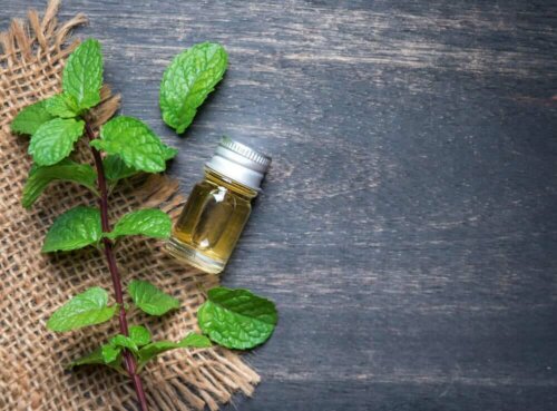 Some peppermint oil on a table.