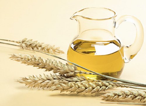 Wheat germ oil in a pitcher