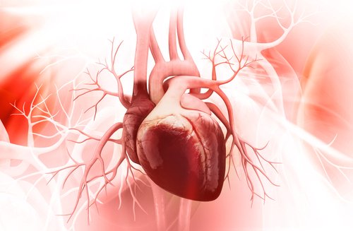 Chia and lemon juice can improve heart health