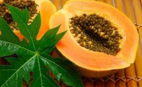 13 Health Benefits of Papaya Leaves