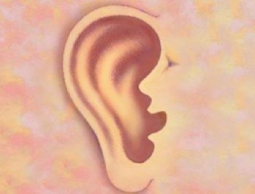 What Your Ears Say About You