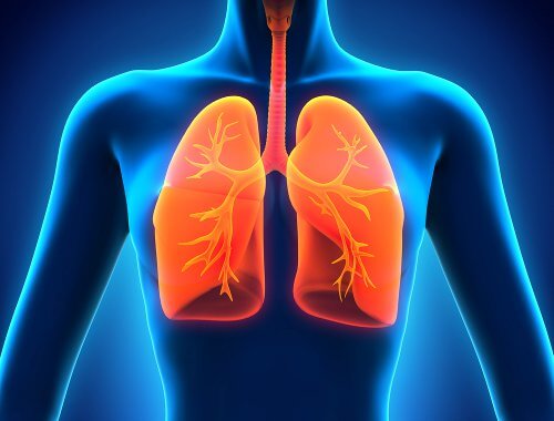 Effects of red wine on the lungs