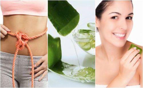 9 Medicinal Benefits of Aloe Vera Gel for The Body