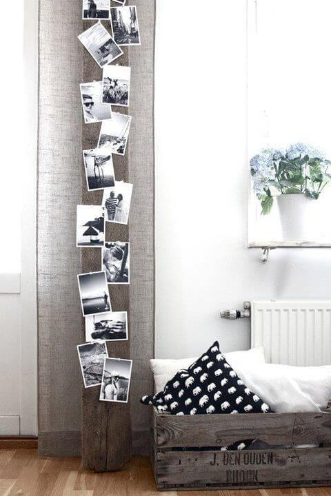 Photographs in a line