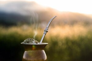 Yerba Mate Promotes Weight Loss