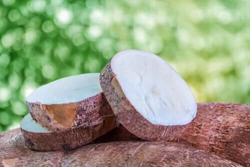 Nine Medicinal Properties of Cassava