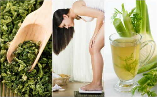Lose Weight Easily Using These 5 Medicinal Plants Lose Weight Easily Using These 5 Medicinal Plants