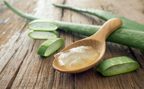 Sliced aloe and gel on wooden spoon