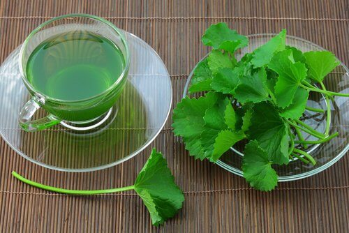 Celery seed tea to heal inflamed legs
