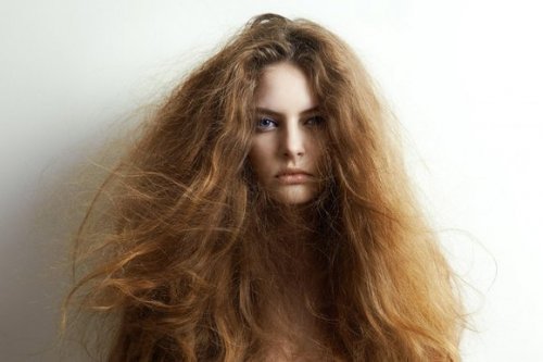 5 Natural Ingredients for Treating Dry Hair