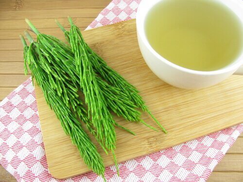 Horse tail grass for stretch marks