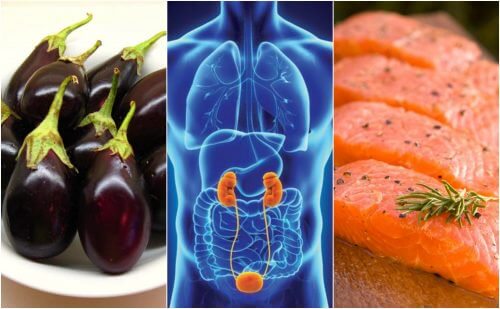 Seven Foods that May Naturally Help Promote Healthy Kidneys