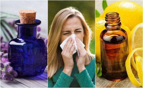 6 Essential Oils for Allergies