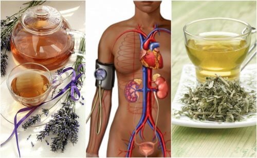 5 Herbal Remedies to Lower Blood Pressure