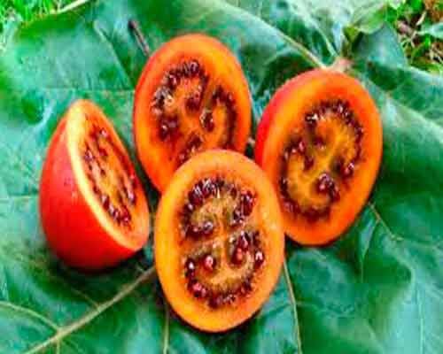 4 Exotic Fruits and Vegetables You've Probably Never Heard Of