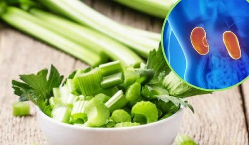 Five Herbal Remedies to Fight Kidney Pain