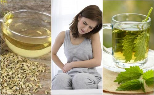 The 5 Best Teas for Constipation: Try them! The 5 Best Teas for Constipation: Try them!