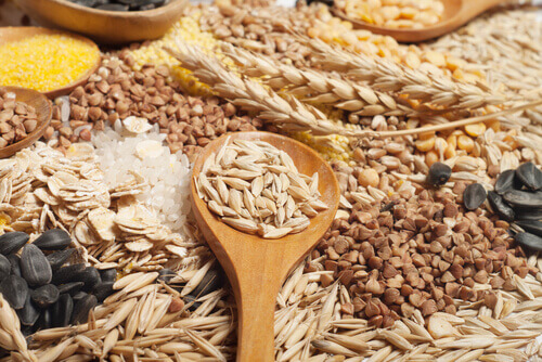a variety of grains