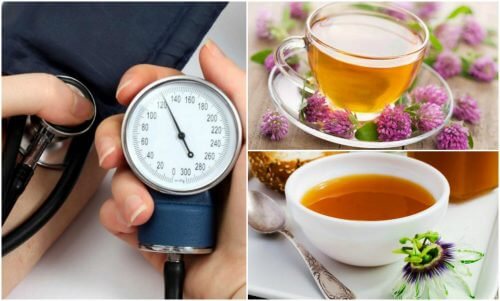 The 6 Best Herbs for Lowering Blood Pressure The 6 Best Herbs for Lowering Blood Pressure