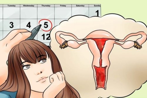 Illustration woman looking at diagram of uterus painful periods