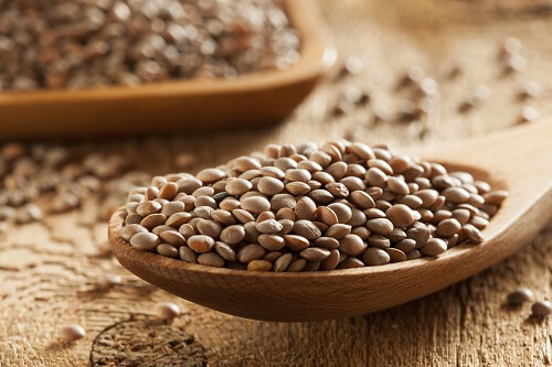 lentils to help you get enough protein