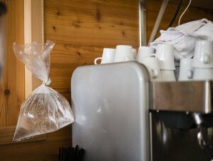 Eight Natural Fly Repellents to Make at Home
