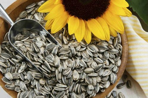 How to Reduce Cellulite by Eating a Healthy Diet