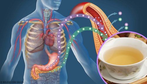4 Infusions to Lower Blood Sugar