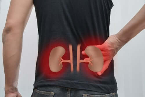 Advice on How to Take Care of Your Kidneys