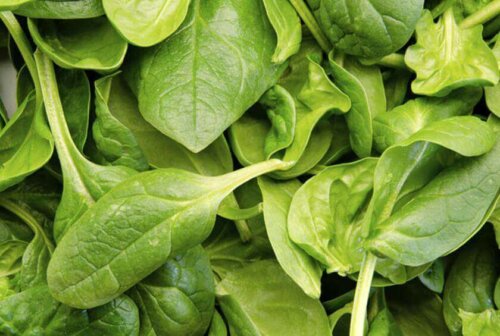 A closeup of a spinach container.