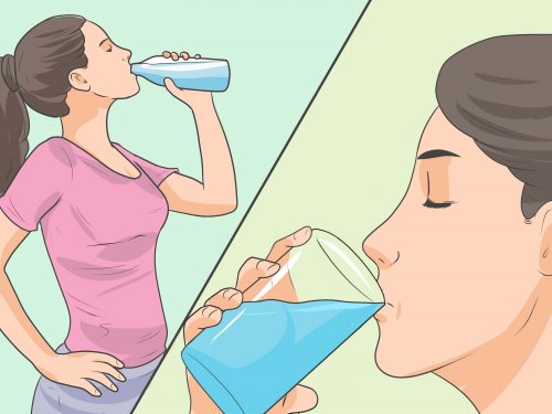 The 7 Best Fat Burning Beverages The 7 Best Fat Burning Beverages