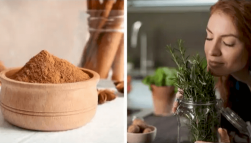 9 Herbs and Spices that Promote Hair Growth