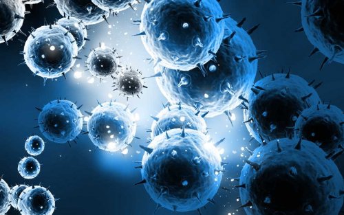 A close up of cancer cells.