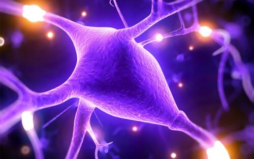 5 Reasons Why Magnesium Helps to Improve Your Mental Capacities