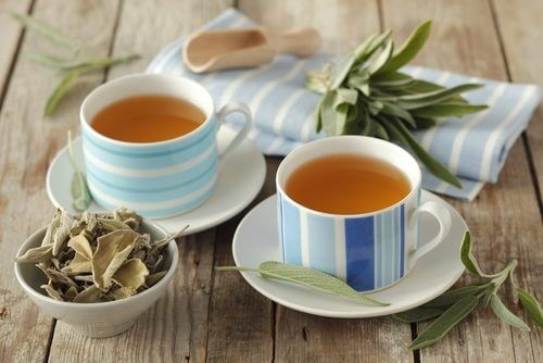 Two cups of sage tea