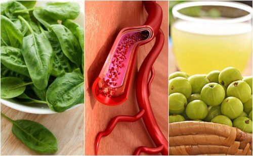 The 7 Foods that May Help Increase Blood Platelets