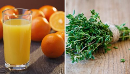 6 Natural Antibiotics that You Probably Didn't Know About