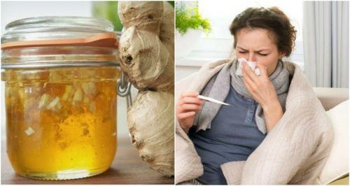 Homemade Honey and Ginger Syrup to Fight Colds