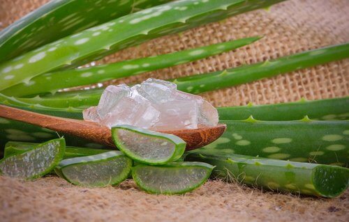 Aloe vera gel on spoon