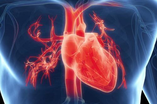 Healthy heart