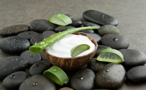 Coconut and aloe vera cream