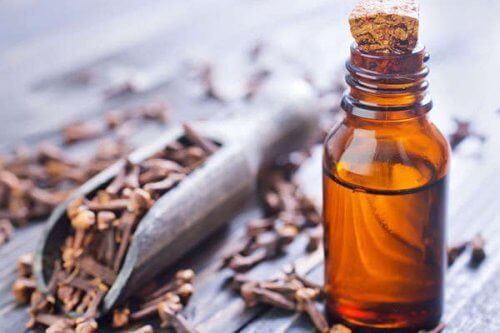 Sweet clove oil