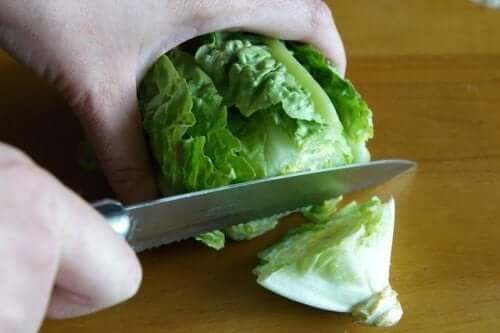 Someone cutting romaine lettuce.