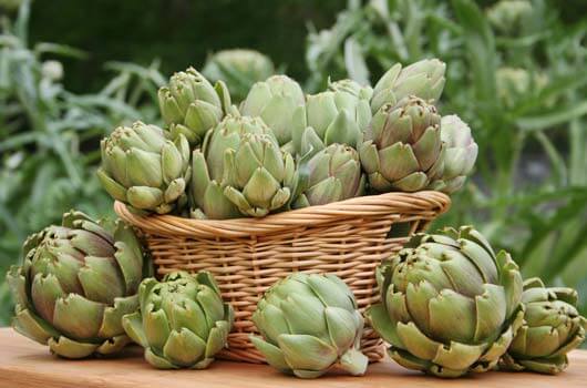 A basket of artichokes
