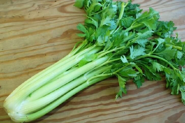 A piece of celery