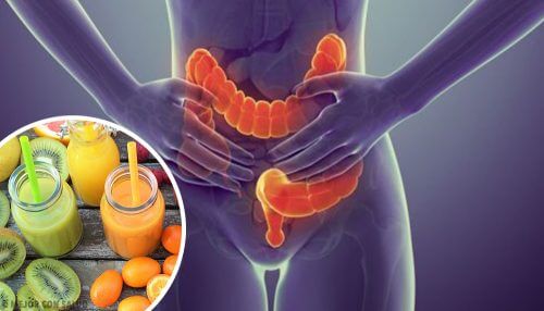 Five Types of Food that Are Ideal to Cleanse the Colon