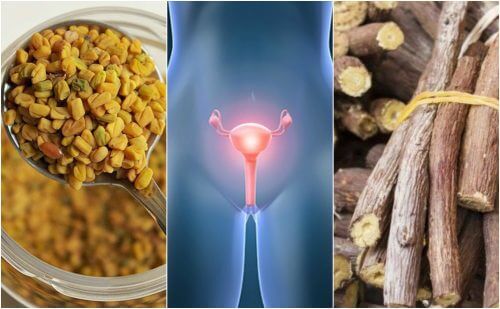 5 Natural Remedies that Help You to Cope with Polycystic Ovarian Disease 5 Natural Remedies that Help You to Cope with Polycystic Ovarian Disease