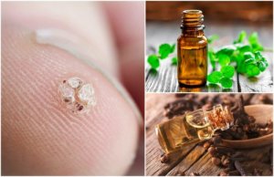 Seven Essential Oils to Try if You Have Warts