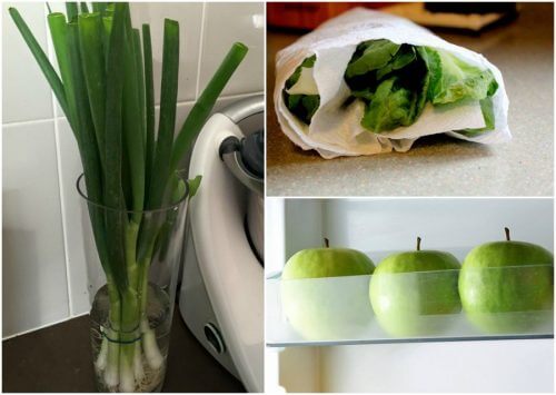 9 Tricks that Will Help You Keep Your Food Fresh for Longer