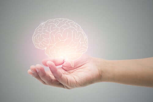 5 Simple Habits to Regenerate Neurons (Neurogenesis)